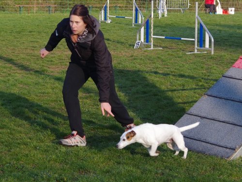 Concours d'agility, Gergy, 14 avril 2019