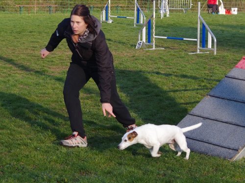 Concours d'agility, Gergy, 14 avril 2019