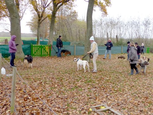 Education canine, 3 décembre 2022