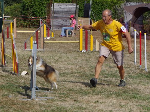 Concours d'agility, Autun, 9 septembre 2018