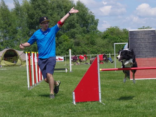 Concours d'agility, Magny sur Tille, 26 mai 2019