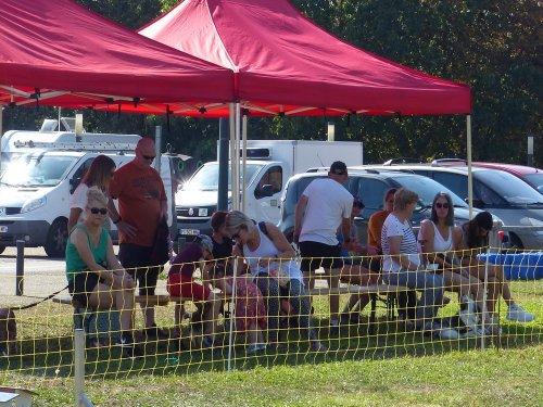 Concours d'agility, Fontaines 9 et 10 septembre 2023