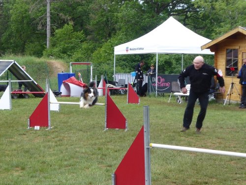 Concours d'agility, Messigny Vantoux, 12 et 13 mai 2018