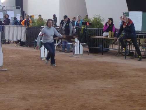 Concours d'agility, Le Creusot, 24 novembre 2019