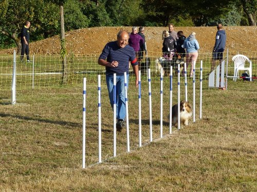 Concours d'agility de Fontaines, le 16 septembre 2018