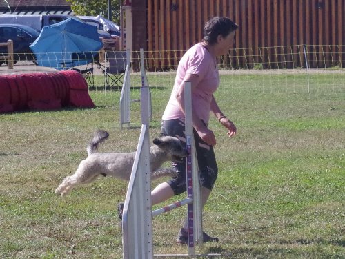 Concours d'agility, Fontaines, 9 et 10 septembre 2023