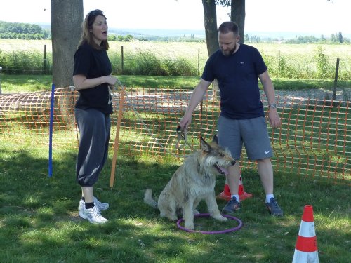 Education canine, juin 2022