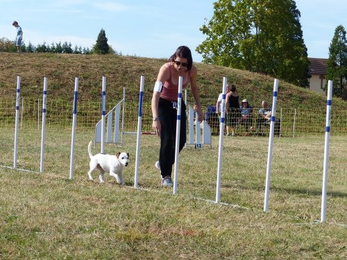 Concours d'agility de Fontaines, le 16 septembre 2018