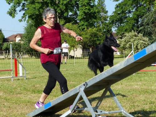 Concours d'agility de Fontaines, le 28 mai 2017