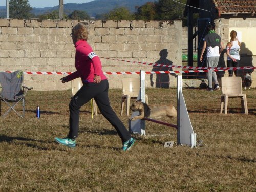 Concours d'agility, Autun, 9 septembre 2018