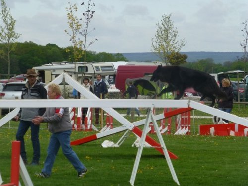 Concours d'agility, Barges, 16 avril 2017