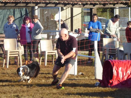 Concours d'agility, Autun, 9 septembre 2018