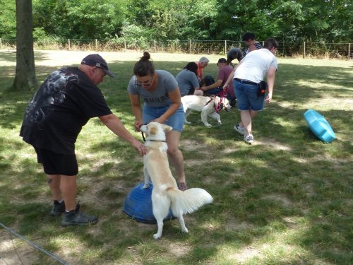 Fitness canin, 18 juin 2022