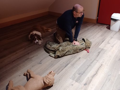 Formation secours canin 1er trimestre 2025