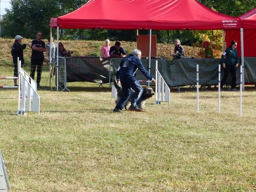 Concours d'agility de Fontaines, le 16 septembre 2018