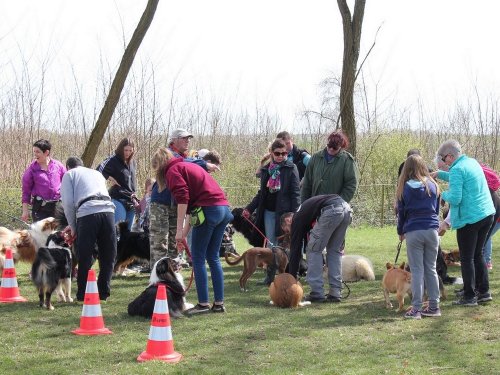 Cours d'éducation du 7 avril 2018