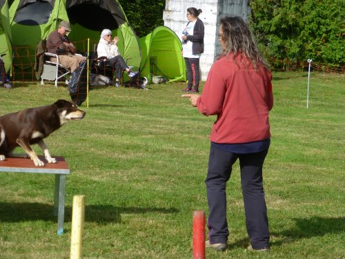 Concours d'agility, Autun, 10 septembre 2017