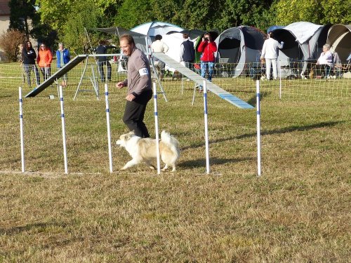 Concours d'agility de Fontaines, le 16 septembre 2018