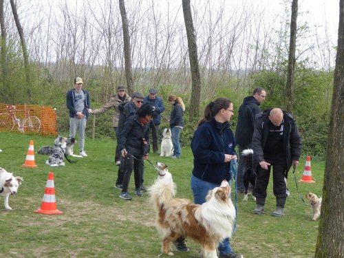 Les cours d'éducation, avril 2019