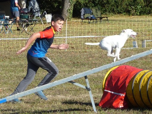 Concours d'agility, Fontaines 11 septembre 2022