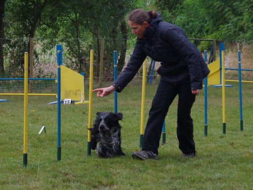 CAESC et Pass-agility Fontaines 17 septembre 2016