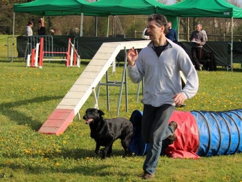 Premier concours d'agility de Fontaines, le 12 avril 2015