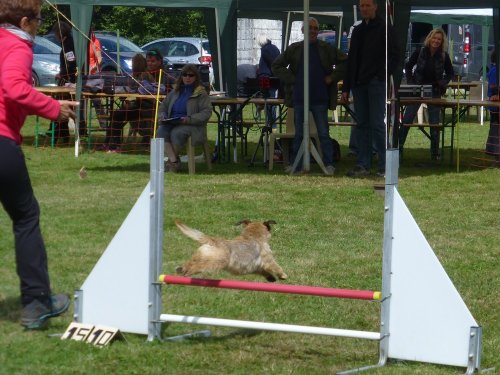 Concours d'agility, Autun, 10 septembre 2017