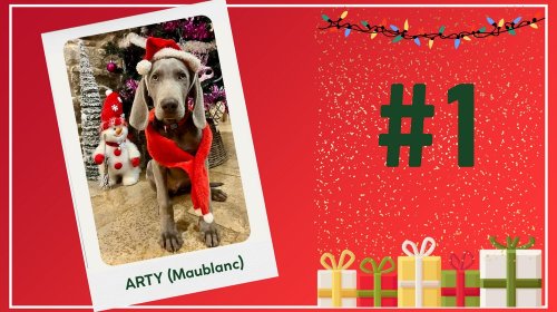 Concours photos 2024 : sur le thème de Noël
