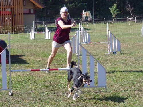 Concours d'agility, Fontaines 9 et 10 septembre 2023