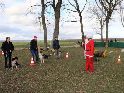 Education canine, 21 décembre 2019