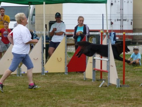 Concours d'agility, Montret, 30 juillet 2017