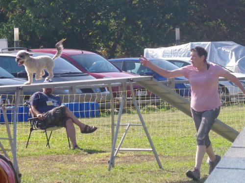 Concours d'agility, Fontaines, 9 et 10 septembre 2023