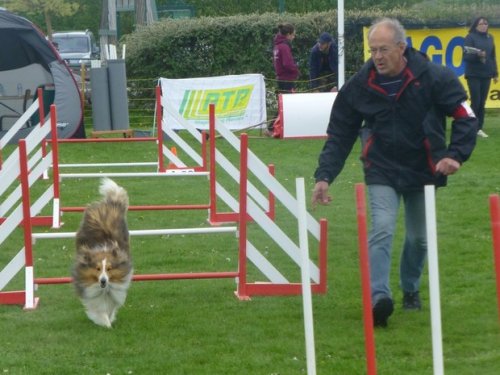 Concours d'agility, Barges, 16 avril 2017