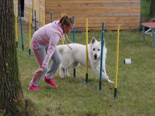 CAESC et Pass-agility Fontaines 17 septembre 2016