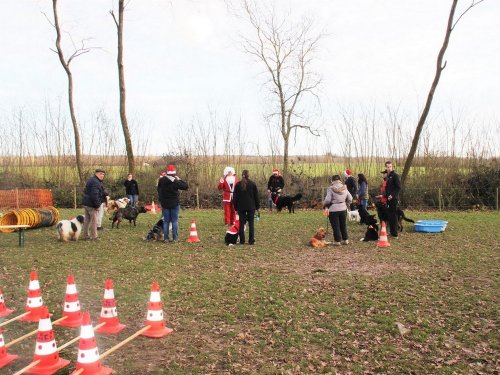 Education canine, 21 décembre 2019