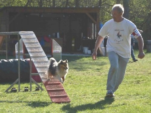 Concours d'agility, Daix, 19 avril 2015