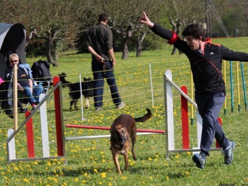 Premier concours d'agility de Fontaines, le 12 avril 2015