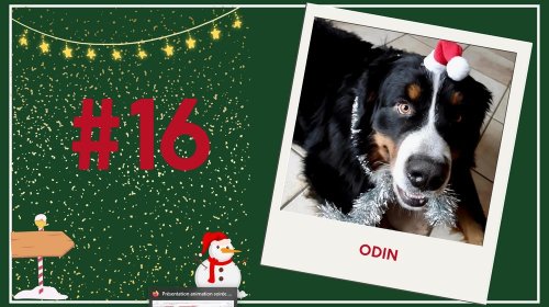 Concours photos 2024 : sur le thème de Noël