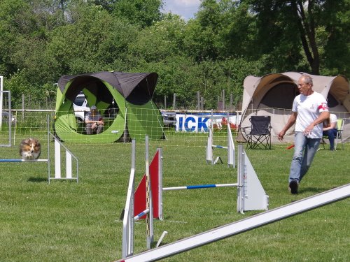 Concours d'agility, Magny sur Tille, 26 mai 2019