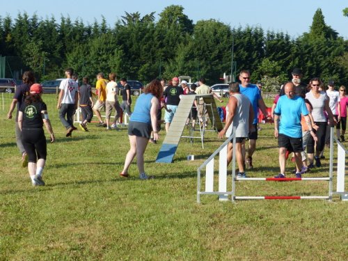 Concours d'agility de Fontaines, le 28 mai 2017