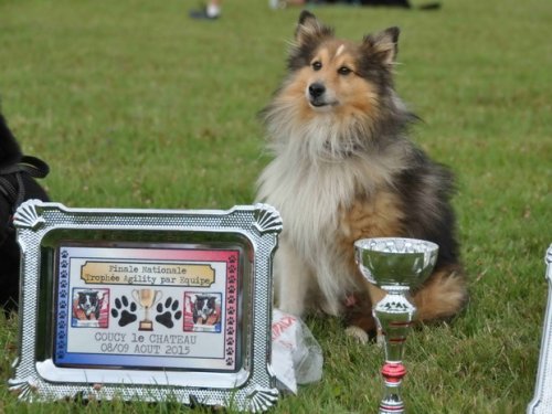 Finale nationale 2015 du Trophée par équipe à Coucy le Château