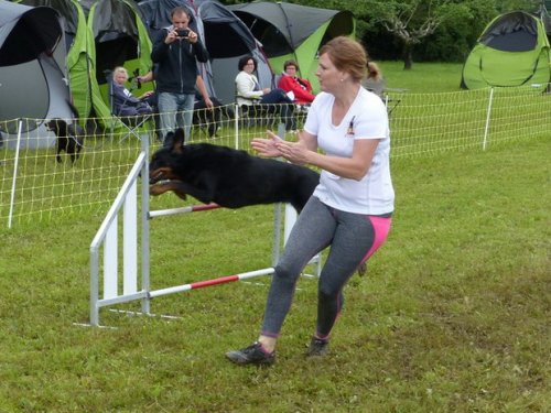 Concours d'agility de Fontaines, le 29 mai 2016