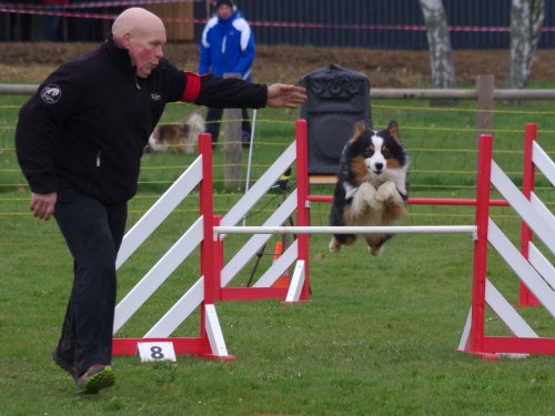 Concours d'agility, Barges, 1 avril 2018