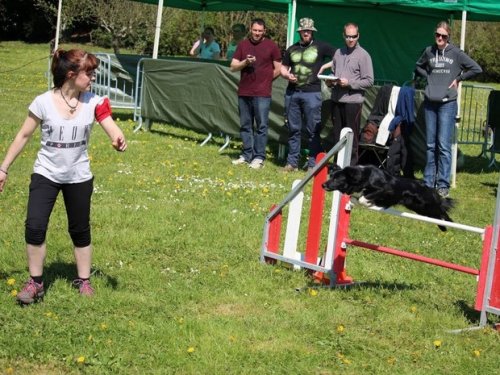 Premier concours d'agility de Fontaines, le 12 avril 2015