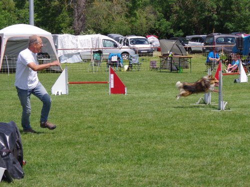 Concours d'agility, Magny sur Tille, 26 mai 2019