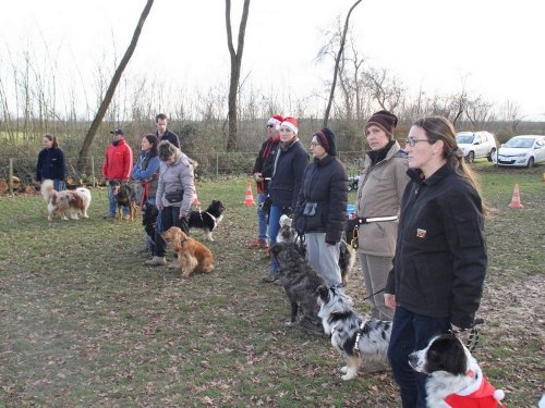 Education canine, 21 décembre 2019