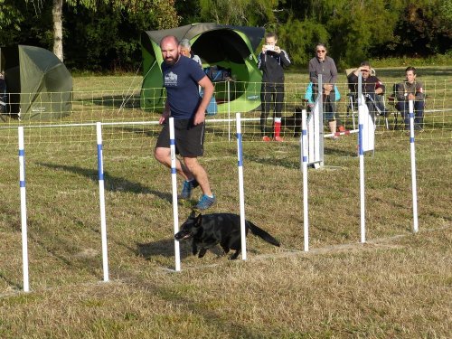 Concours d'agility de Fontaines, le 16 septembre 2018