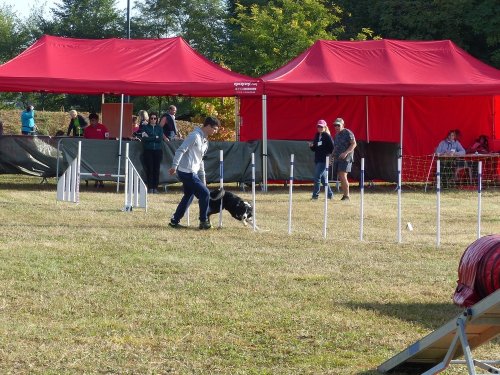 Concours d'agility de Fontaines, le 16 septembre 2018