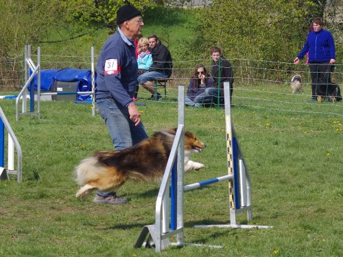 Concours d'agility, Gergy, 14 avril 2019