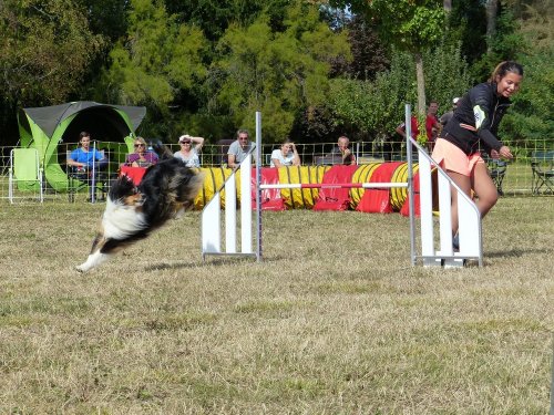 Concours d'agility de Fontaines, le 16 septembre 2018